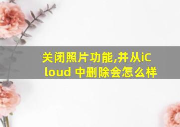 关闭照片功能,并从iCloud 中删除会怎么样